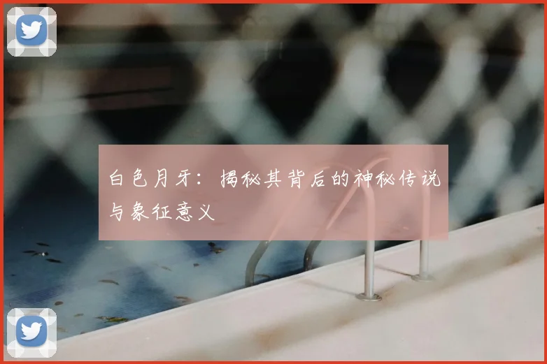 白色月牙：揭秘其背后的神秘传说与象征意义