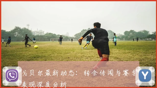 戈贝尔最新动态:转会传闻与赛季表现深度分析