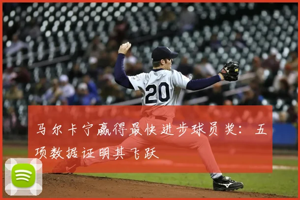 马尔卡宁赢得最快进步球员奖：五项数据证明其飞跃